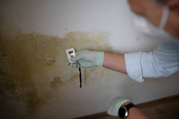 Best Mold Testing  in Cinco Ranch, TX