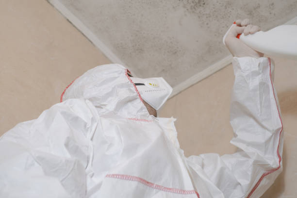 Best Home Mold Removal  in Cinco Ranch, TX